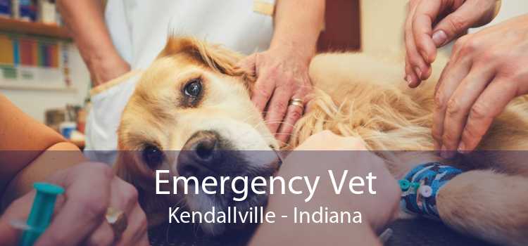 Emergency Vet Kendallville - Indiana