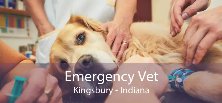 Emergency Vet Kingsbury - Indiana