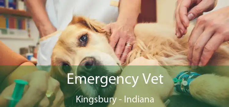 Emergency Vet Kingsbury - Indiana