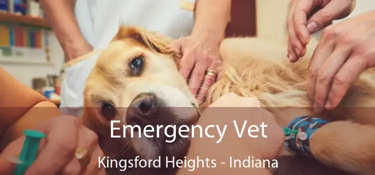 Emergency Vet Kingsford Heights - Indiana