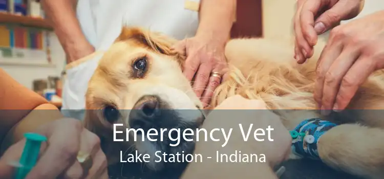 Emergency Vet Lake Station - Indiana