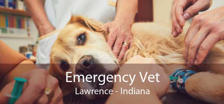 Emergency Vet Lawrence - Indiana