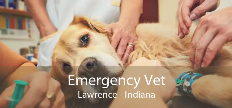 Emergency Vet Lawrence - Indiana