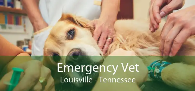 Emergency Vet Louisville - Tennessee