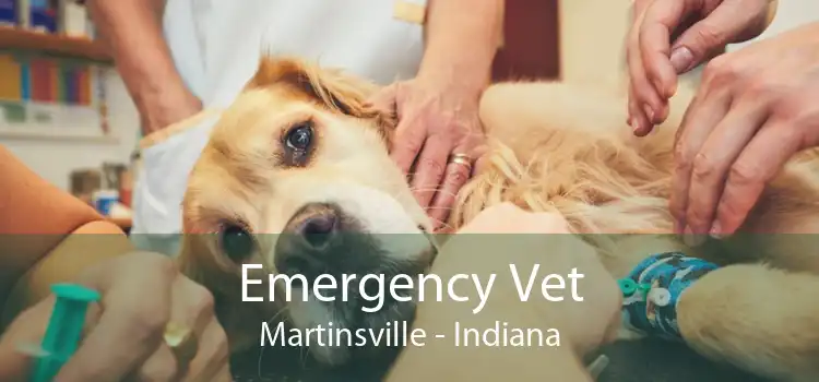 Emergency Vet Martinsville - Indiana
