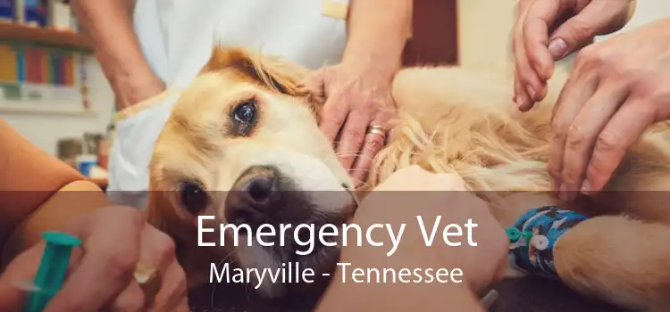 Emergency Vet Maryville - Tennessee