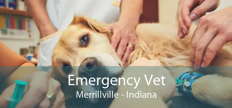 Emergency Vet Merrillville - Indiana