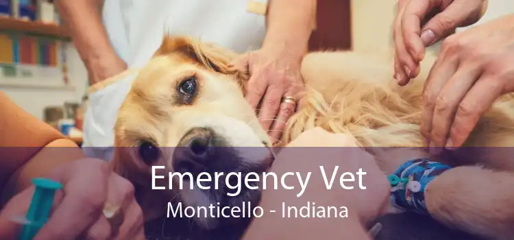 Emergency Vet Monticello - Indiana