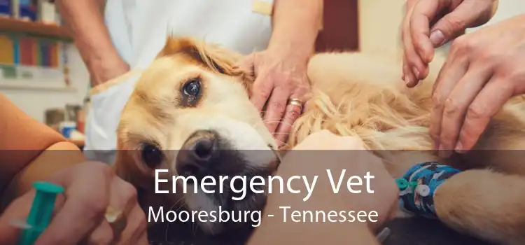 Emergency Vet Mooresburg - Tennessee