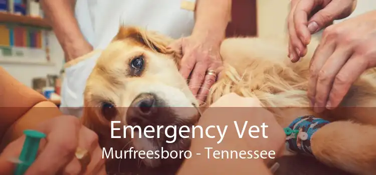 Emergency Vet Murfreesboro - Tennessee