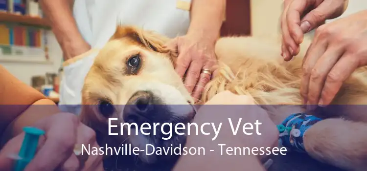 Emergency Vet Nashville-Davidson - Tennessee