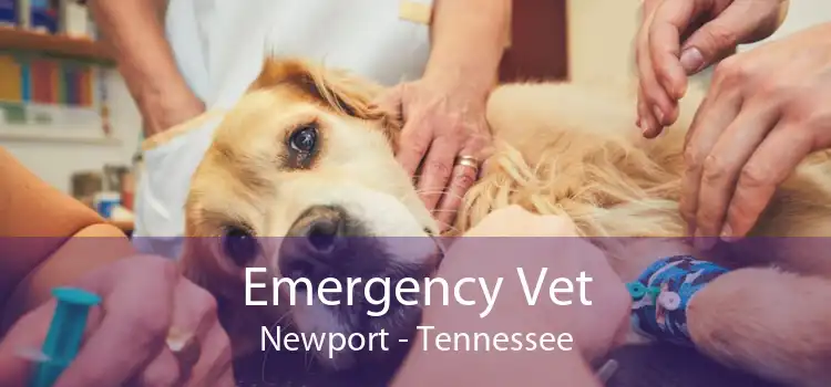 Emergency Vet Newport - Tennessee