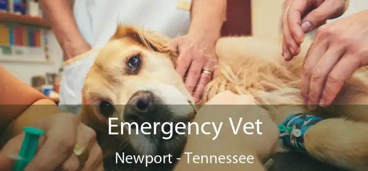 Emergency Vet Newport - Tennessee