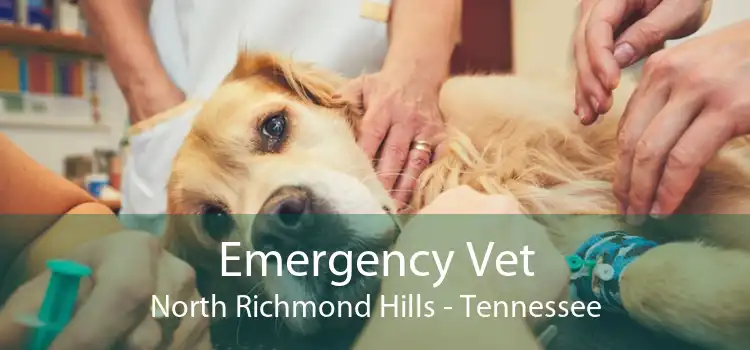 Emergency Vet North Richmond Hills - Tennessee