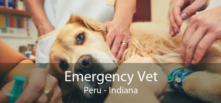 Emergency Vet Peru - Indiana