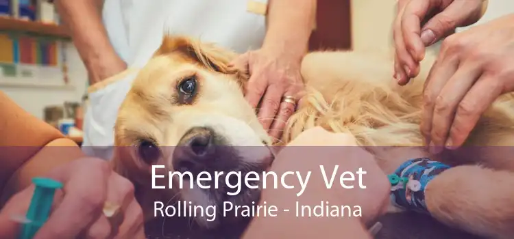 Emergency Vet Rolling Prairie - Indiana