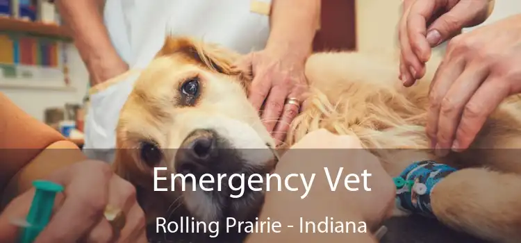 Emergency Vet Rolling Prairie - Indiana