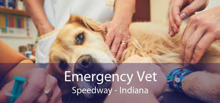 Emergency Vet Speedway - Indiana