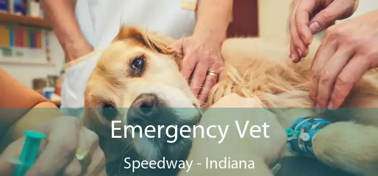 Emergency Vet Speedway - Indiana