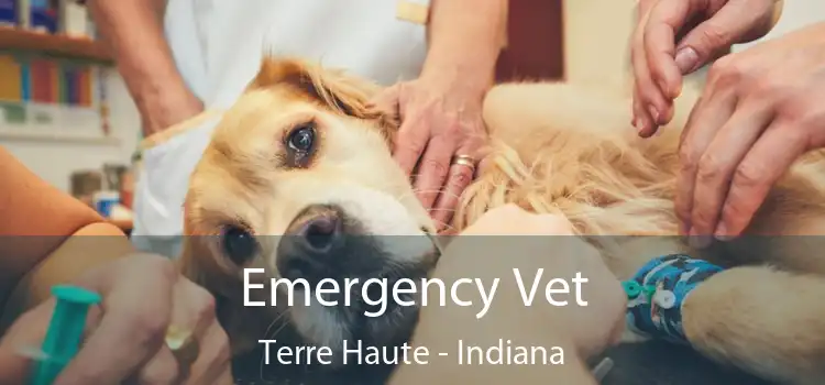 Emergency Vet Terre Haute - Indiana