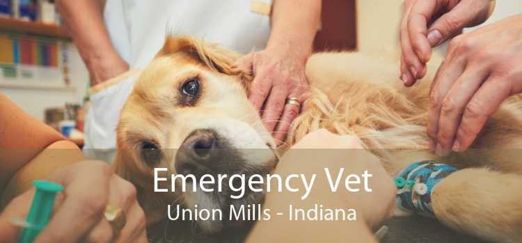 Emergency Vet Union Mills - Indiana