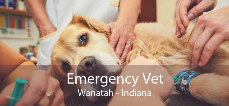 Emergency Vet Wanatah - Indiana