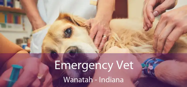 Emergency Vet Wanatah - Indiana