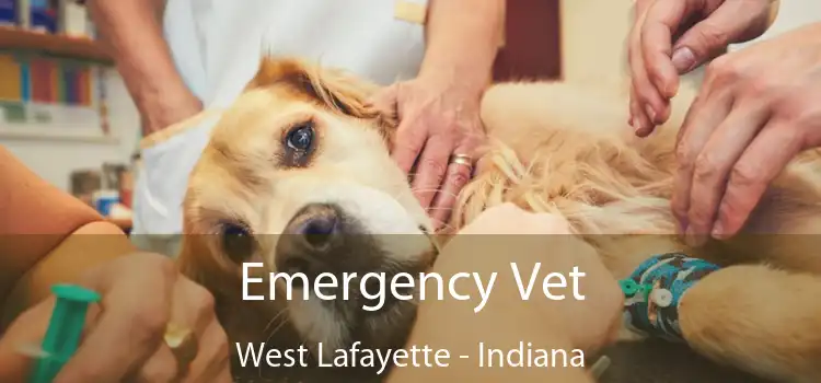 Emergency Vet West Lafayette - Indiana