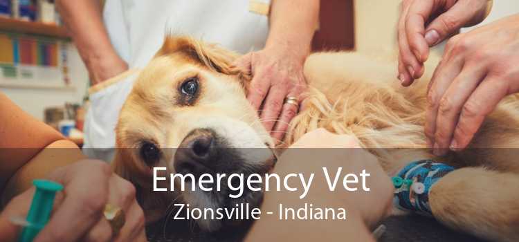 Emergency Vet Zionsville - Indiana