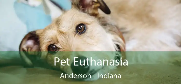 Pet Euthanasia Anderson - Indiana