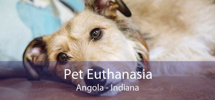 Pet Euthanasia Angola - Indiana