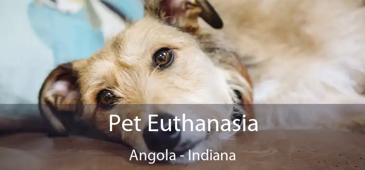 Pet Euthanasia Angola - Indiana