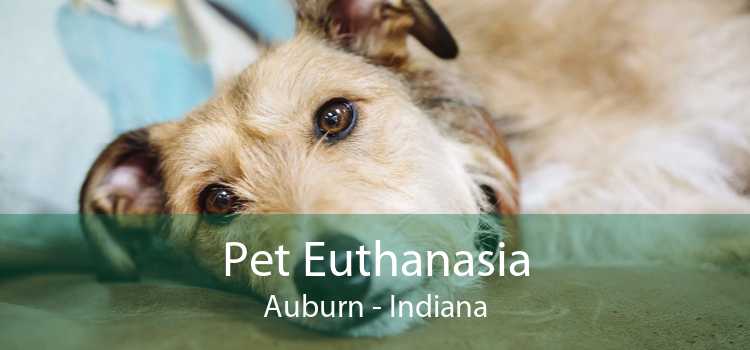 Pet Euthanasia Auburn - Indiana