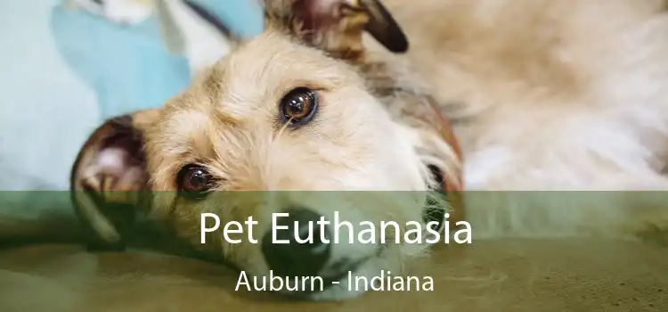 Pet Euthanasia Auburn - Indiana