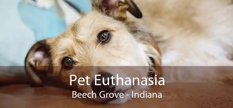 Pet Euthanasia Beech Grove - Indiana