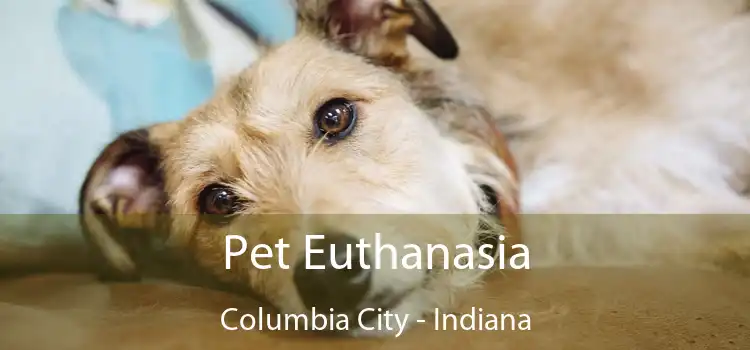 Pet Euthanasia Columbia City - Indiana