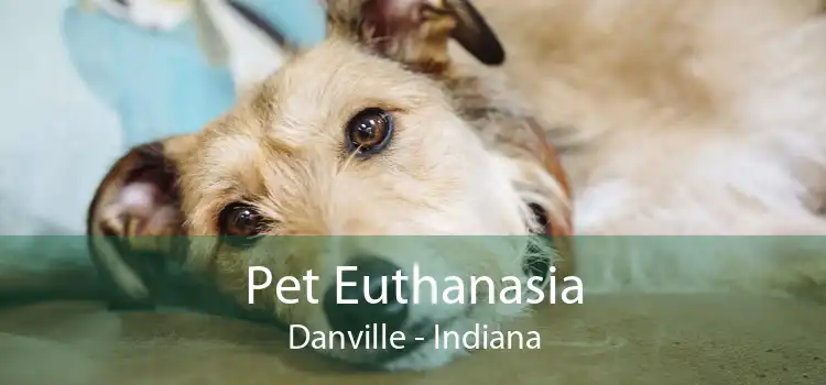 Pet Euthanasia Danville - Indiana