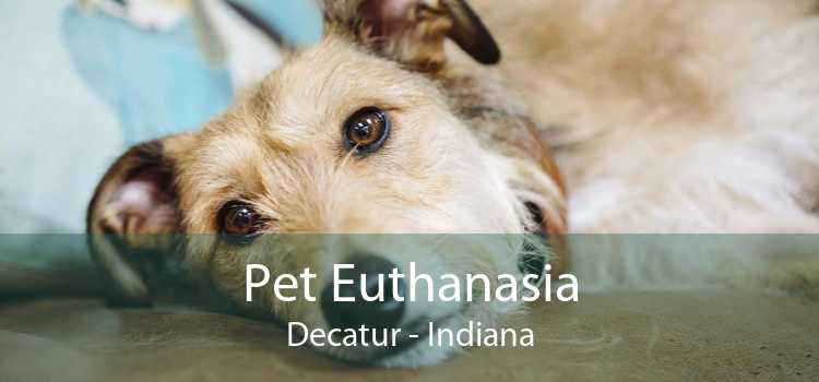 Pet Euthanasia Decatur - Indiana
