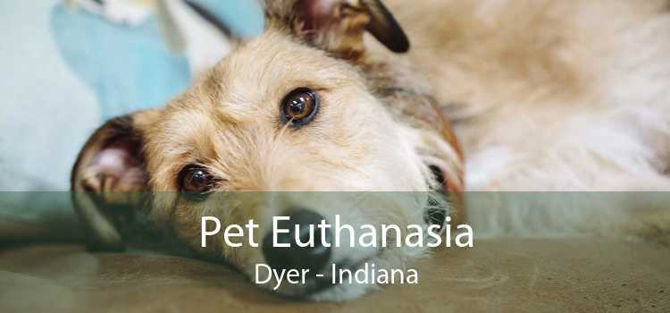 Pet Euthanasia Dyer - Indiana