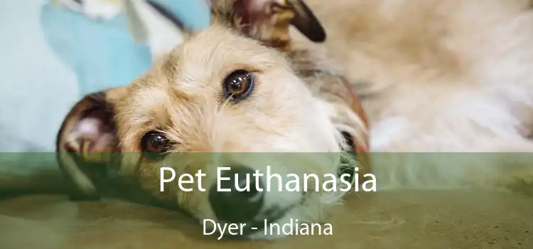 Pet Euthanasia Dyer - Indiana