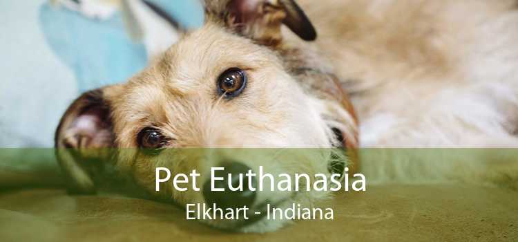 Pet Euthanasia Elkhart - Indiana