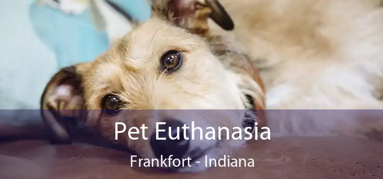 Pet Euthanasia Frankfort - Indiana