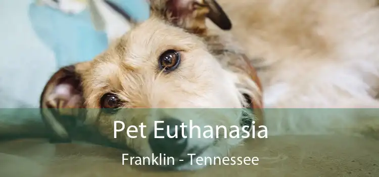 Pet Euthanasia Franklin - Tennessee