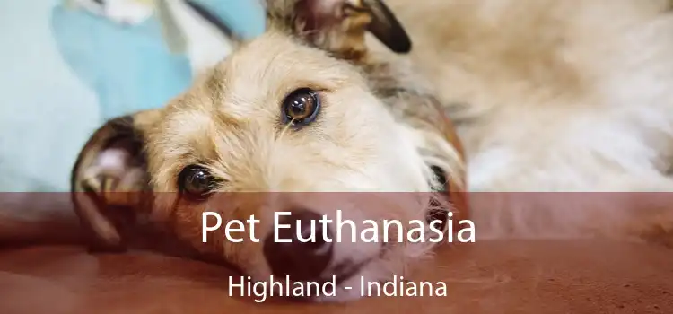 Pet Euthanasia Highland - Indiana