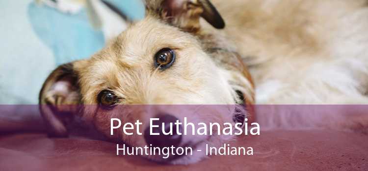 Pet Euthanasia Huntington - Indiana