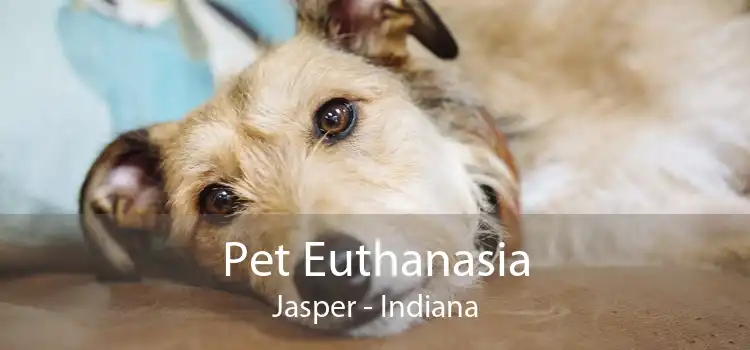Pet Euthanasia Jasper - Indiana