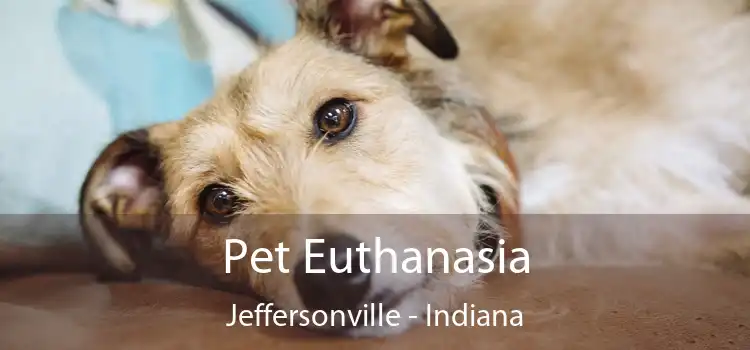 Pet Euthanasia Jeffersonville - Indiana