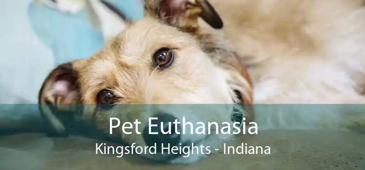 Pet Euthanasia Kingsford Heights - Indiana