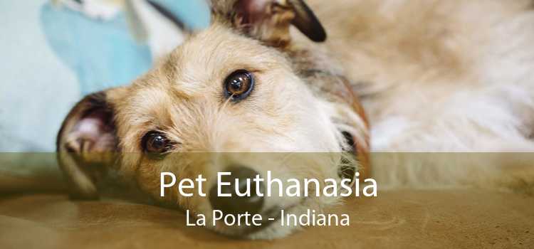 Pet Euthanasia La Porte - Indiana