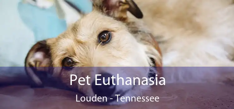 Pet Euthanasia Louden - Tennessee